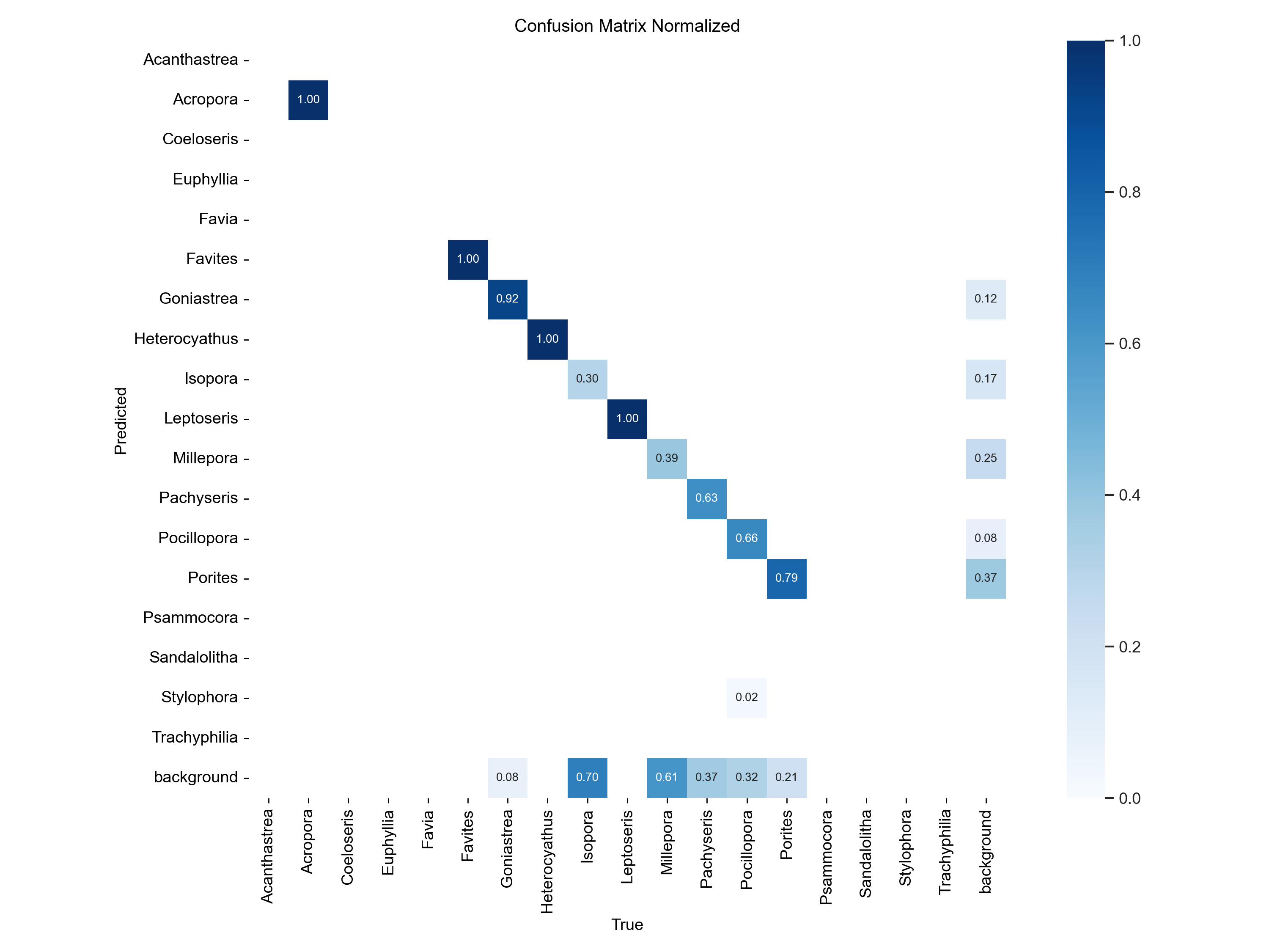 confusion_matrix_normalized.png